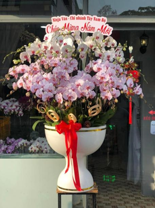 Cửa hàng hoa lan Vĩnh Long Sang Flower