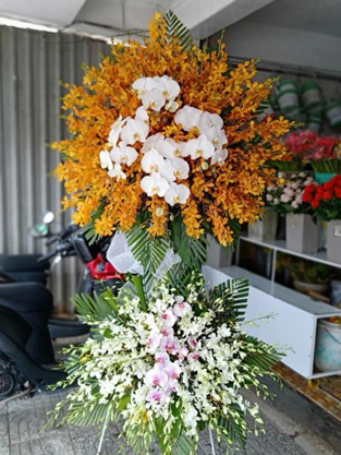 Cửa hàng hoa lan tại Vĩnh Long Ly Ly