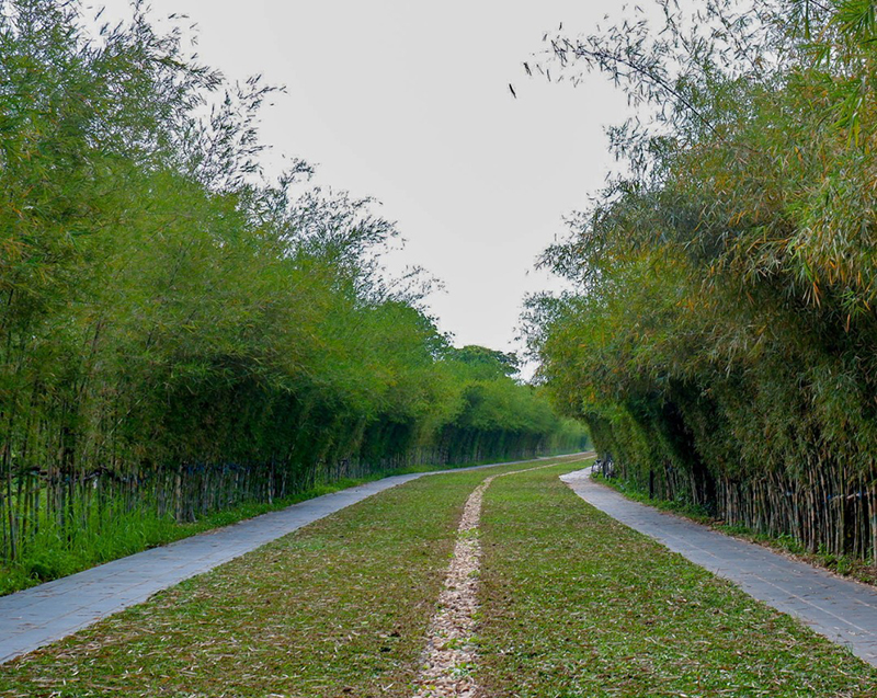 Azerai Can Tho - Tour du lịch Cần Thơ