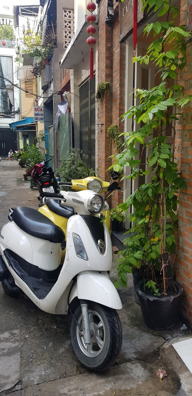 địa chỉ thuê xe máy TPHCM